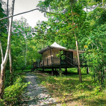 Anurak Community Lodge - Sha Plus Khao Sok National Park Extérieur photo
