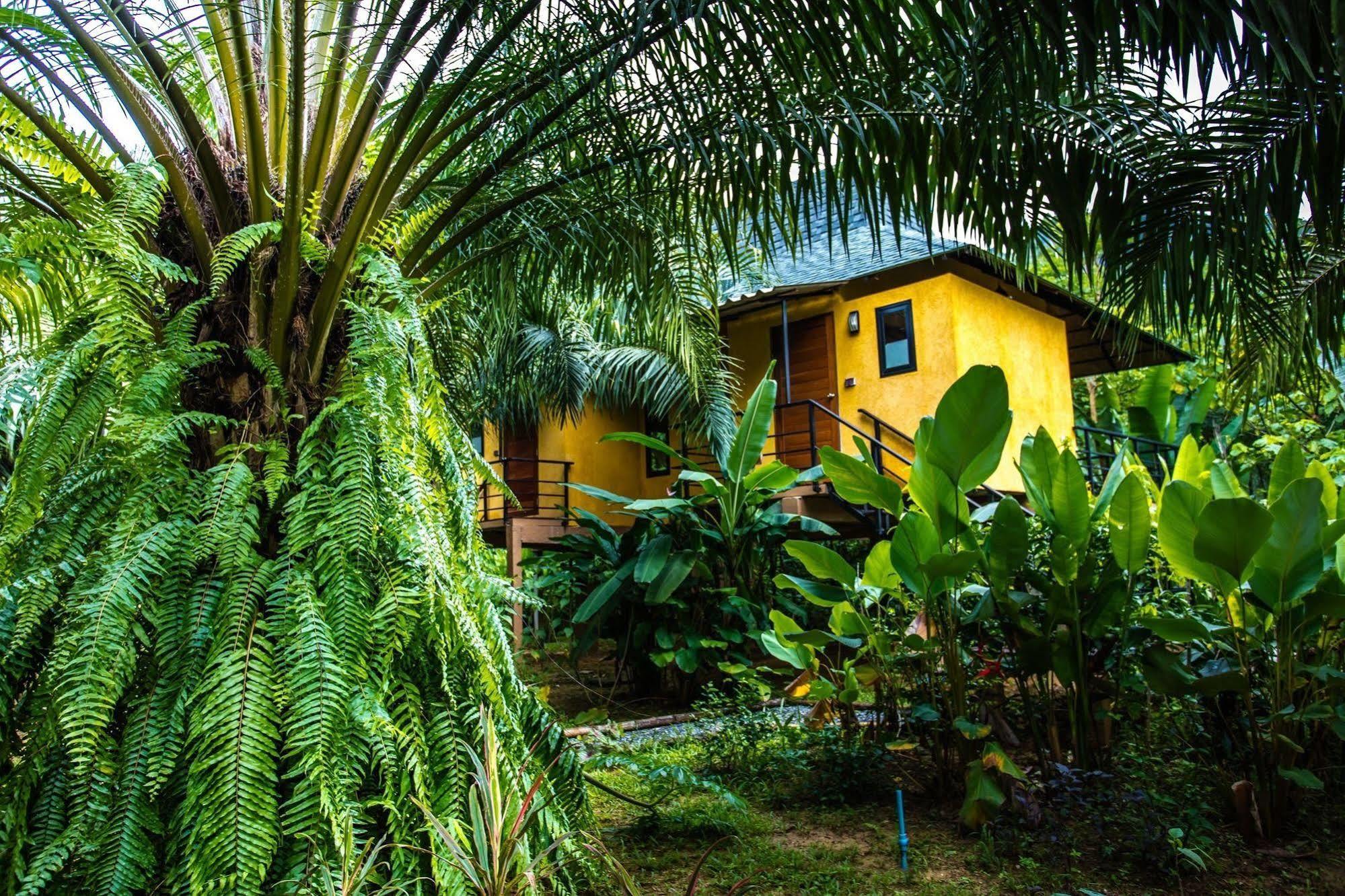 Anurak Community Lodge - Sha Plus Khao Sok National Park Extérieur photo